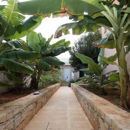 Sunset Apartments Malia Exterior foto